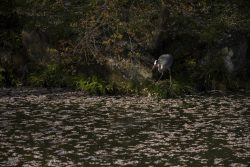 Caitlin Sabean-Untermann | Hunter Waiting