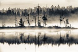 Natalia Shields | Misty Conversation