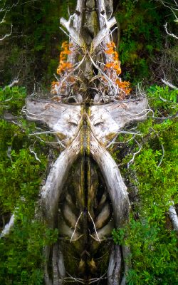 Marion Plaunt | The Mask