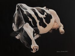 Donna Greenstein